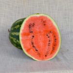 Mezzo cocomero (5Kg)