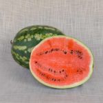 Mezzo cocomero (5Kg) - immagine 2