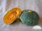 Zucca delica (10 Kg) - immagine 2
