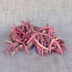 Fagioli Borlotti (2 Kg) - immagine 3