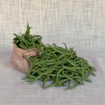 Fagiolini (1 Kg)