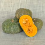 Zucca delica (10 Kg)
