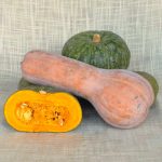 Zucche miste (10 Kg)