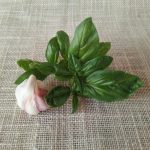Basilicata - immagine 2