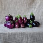 Melanzane (2 Kg)