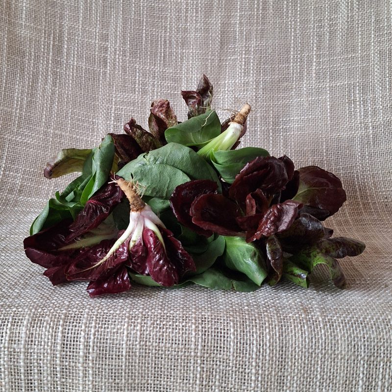 GrumoloRadicchietto Grumolo, radicchio di campo (1Kg) - immagine 1