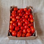 Pomodoro da conserva (20Kg)