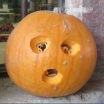 Zucca ornamentale (medio/piccole) - immagine 4