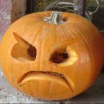 Zucca ornamentale (medio/piccole) - immagine 3