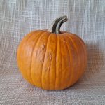 Zucca ornamentale (medio/piccole)